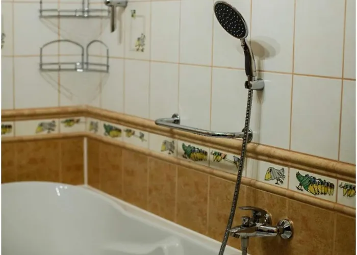 In Near Park Grun Staré Hamry